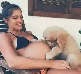 乐馨推荐我们为什么爱狗那些恨狗人士永远不会懂......