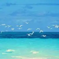 徽徽信头像图片风景图微信头像图片大全