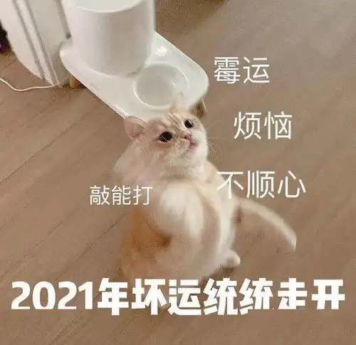 回顾2020攒满勇气,继续前行