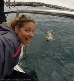 美女子抓拍大白鲨进食特写镜头场面血腥震撼