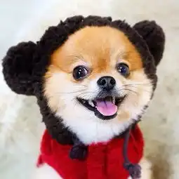 都听我的,随时随地用微信批流程是这样操作的