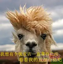 金融街金色漫香林图片