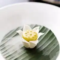 佛教莲花图片大全头像禅意意境微信头像图片大全