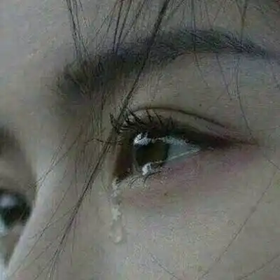 以前打扰了,以后不会了