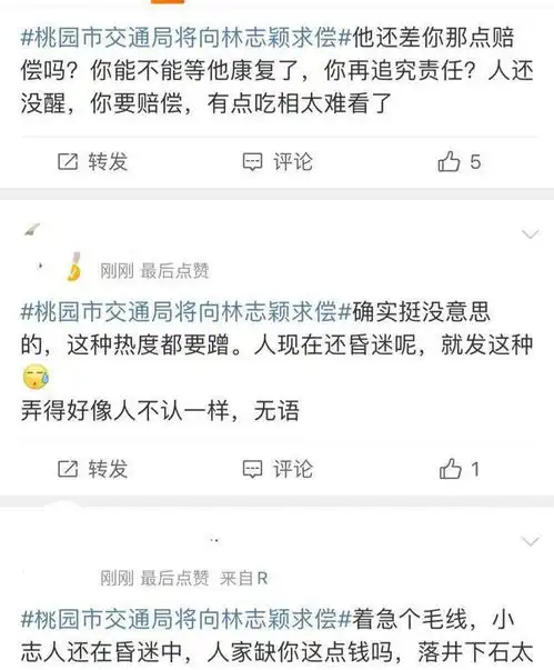 林志颖本人尚未清醒,就被交通队追责,网友称有些不近人情