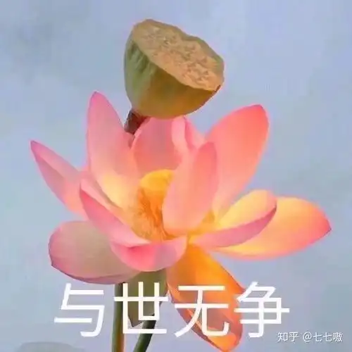 微信头像女佛系