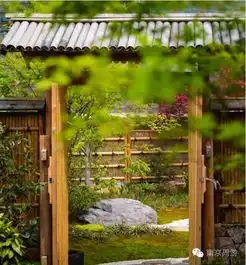 禅意头像女拈花湾