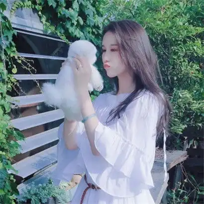 女生抱宠物的微信头像,2020最新高清不用一定可惜了