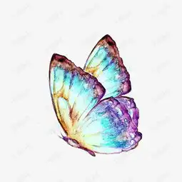 水彩蝴蝶素材图片免费下载高清卡通手绘png千库网图片编号7494828