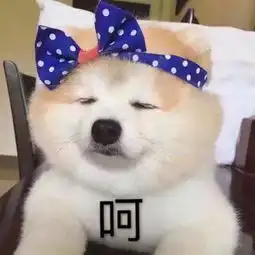 单身狗成为猫咖老板的日常事情的发展是这样的老铁我现在的工