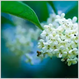 九月秋日时光被黄土掩埋的深情