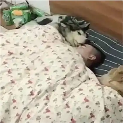 女子下班回家,听见卧室的呼噜声,推开门一看我是不是回来早了