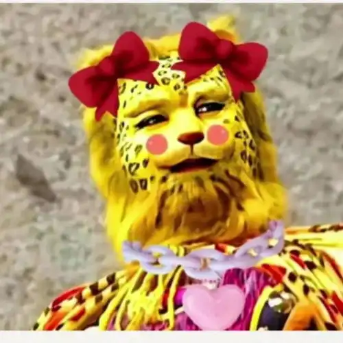 抖音金钱豹头像什么梗什么意思金钱豹头像图片表情包大全get