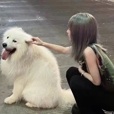 贰迟简单干净风格真人女头