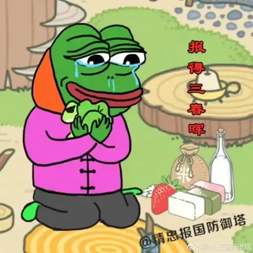 给我一个会长钱的院子,我也想做一只沉迷旅游探险的佛系青蛙