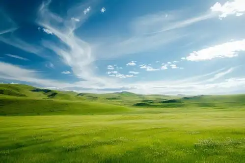 草地蓝天高清壁纸创意海报广告素材