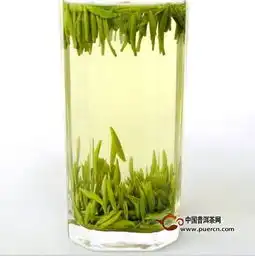 黄竹白毫属于什么茶