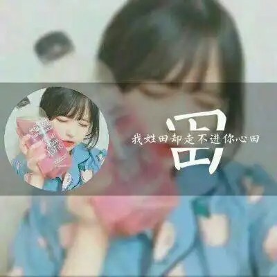 田姓氏微信头像卡通