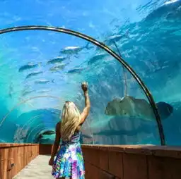 美女子毅然辞职环游世界成职业旅行达人组图