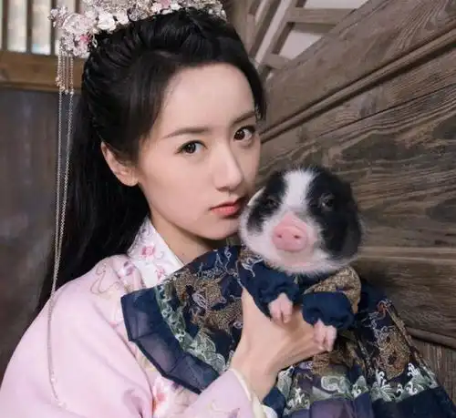 知名女星宠物走丢,助理前去寻找情绪失控,与路人当街发生争吵