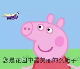 很多妹子都宣布要做个像佩奇一样精致的猪猪女孩