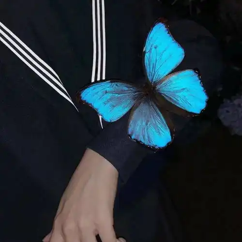 头像背景丨咸淡均味好坏皆福