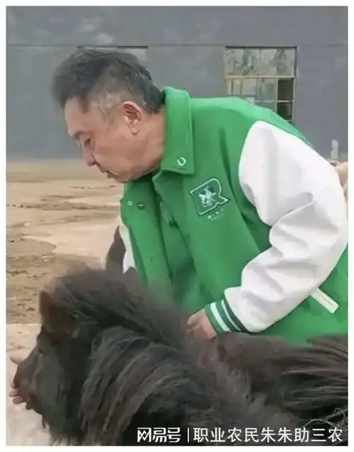 于谦大爷,听人劝,吃饱饭,把烟酒戒掉吧,看您都老成什么样子了