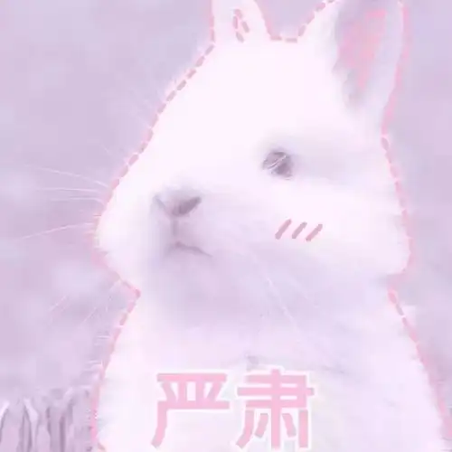 今天的医科好像有点不一样