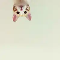 微信头像简单创意图片简约有创意