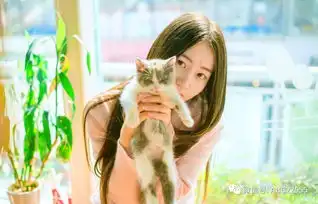 最会装可怜的星座女生排行