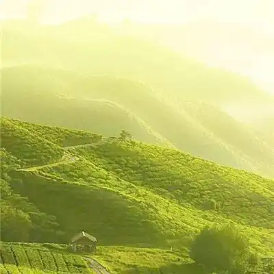 微信头像有财气又吉利的微信头像图片