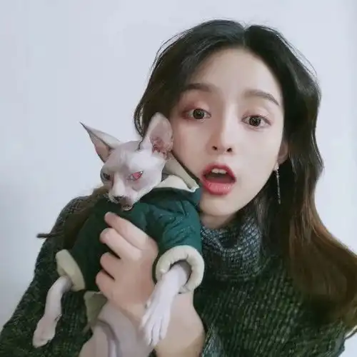 适合发生活状态的句子