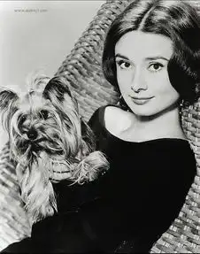 50大最美女明星排行榜韩佳人第5宋慧乔居第16