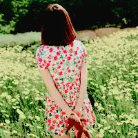 微信头像荷花大全高清微信头像图片大全