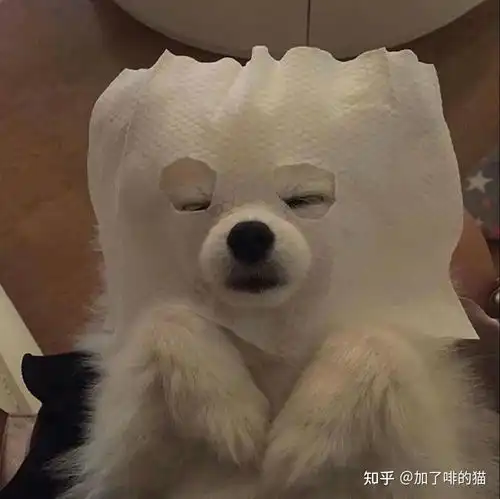 越过这绵延深冬,便是人间初春了