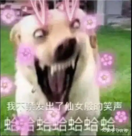 大学见到心动的男生该怎么追