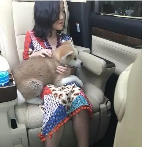 王菲带爱女李嫣香港购物,李嫣做完兔唇手术后身形高挑自信满满