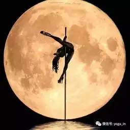 独臂美女,瑜伽界的传奇