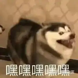 表情撑起表情包半边天的哈士奇,也曾有英雄般的壮举知乎表情
