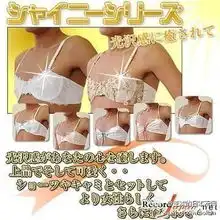 日本男士胸罩亮瞎眼男人为啥要穿女装图