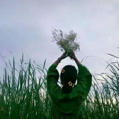 小清新森系女头像图片2020最新款文艺森女系头像