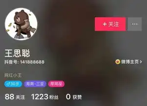 王思聪抖音号是什么王思聪抖音小号账号介绍游戏吧