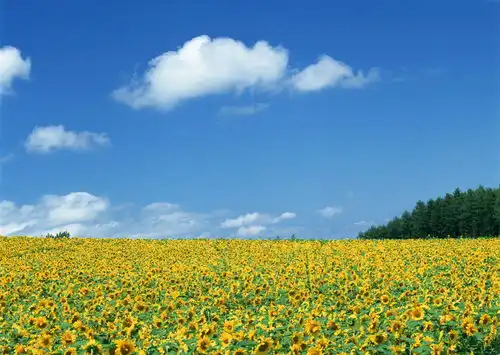 人生哲理遇事不抱怨,多从自身寻找原因,这才是生活的态度