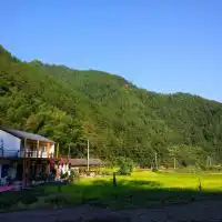 景宁丽水景宁畲族自治县食品药品监察稽查大队附近酒店
