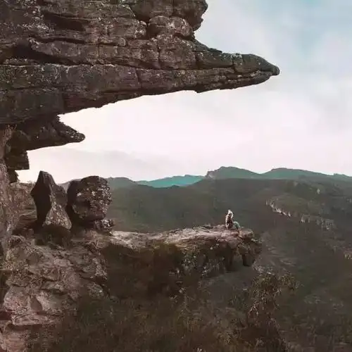 一张照片狂赚9000刀这对cp到底照了什么能卖这么多钱