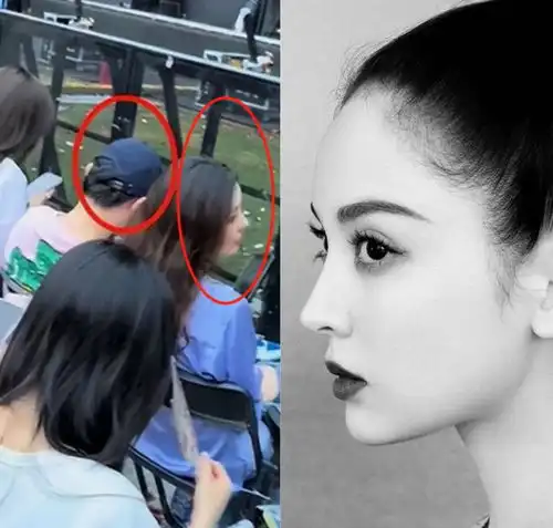 王思聪携七仙女看演唱会,男方手持风扇献殷勤,女友貌美像娜扎