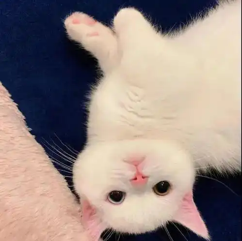 抖音热门女生头像来日方长热爱和众望终会殊途同归