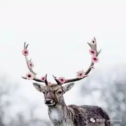 异想天开,把想象中的世界变出来