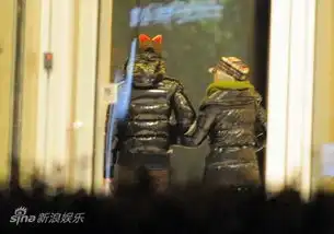 陈晓东与女子牵手逛街背影亲昵