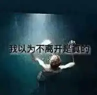 美图你隔岸观火却不救我情感意境